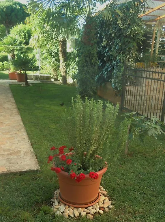 Apartments Skalin Novigrad Istria